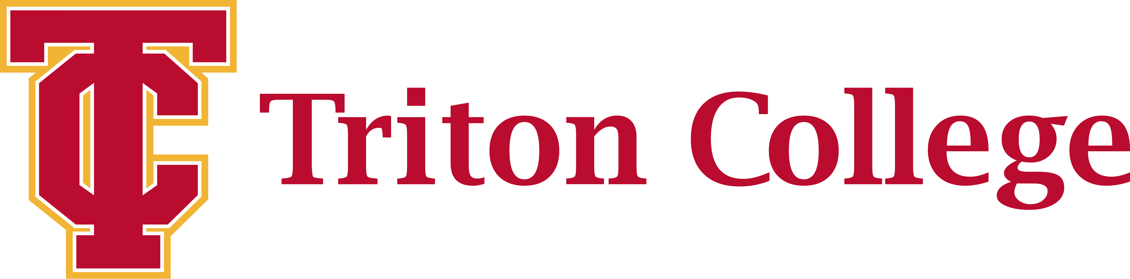 Triton sponsor logo